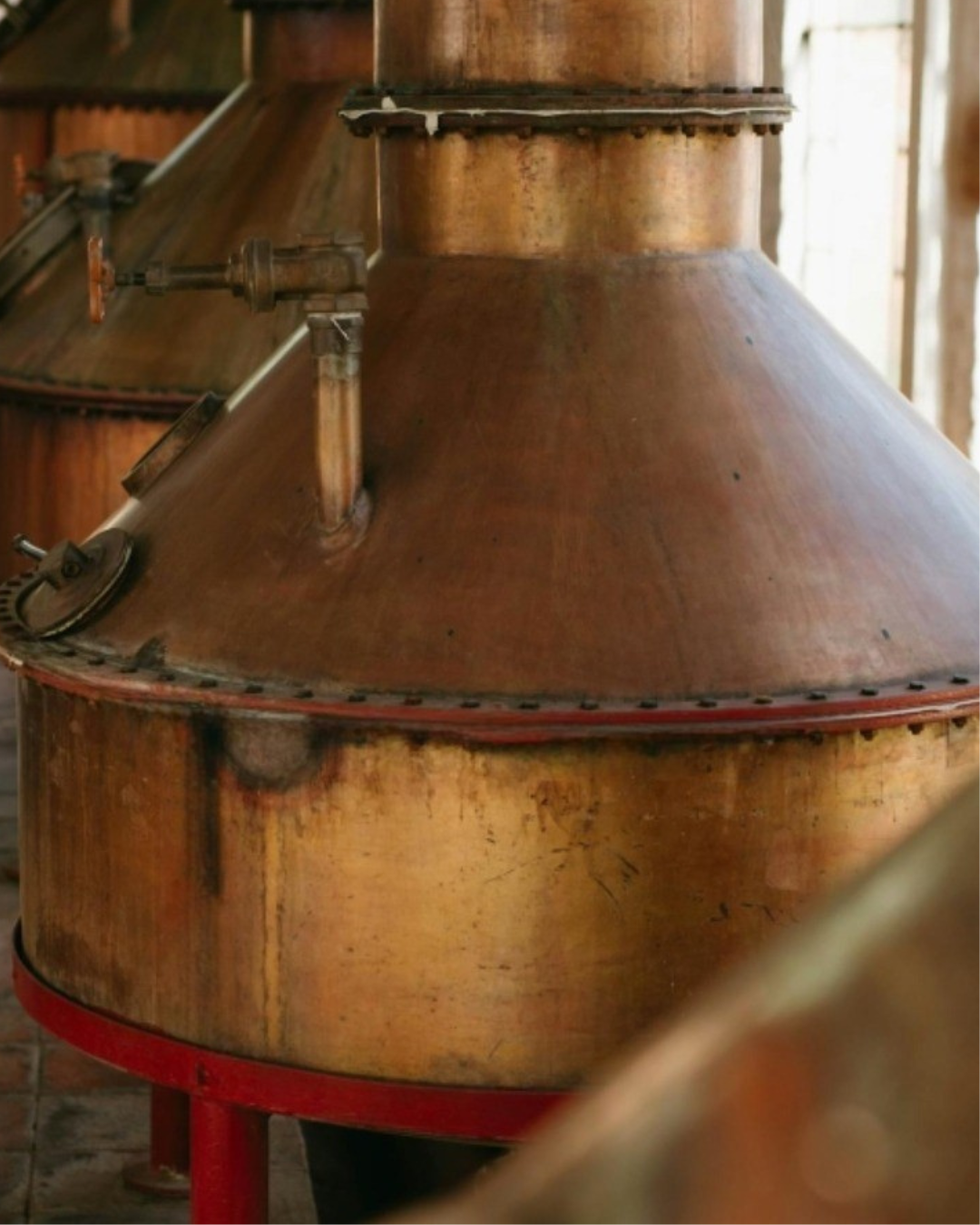 copper stills distillation blue weber agave tequila